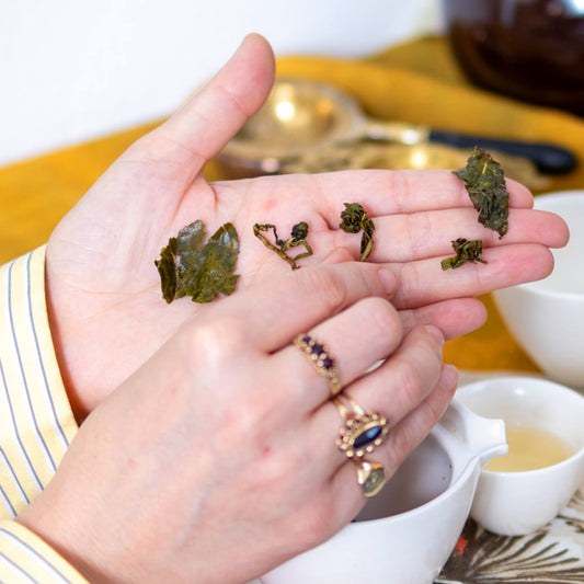 Taiwanese Golden Lily Milk Oolong