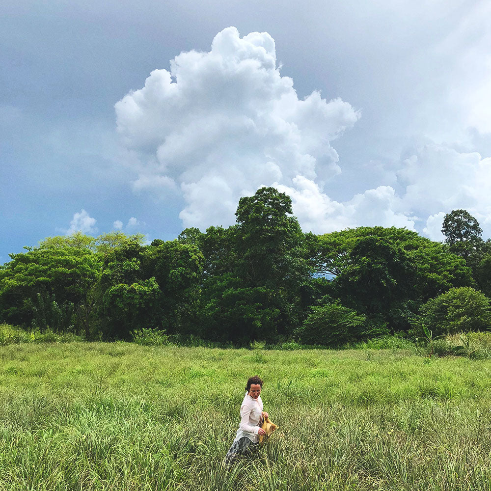 Himalayan Ginger & Lemongrass