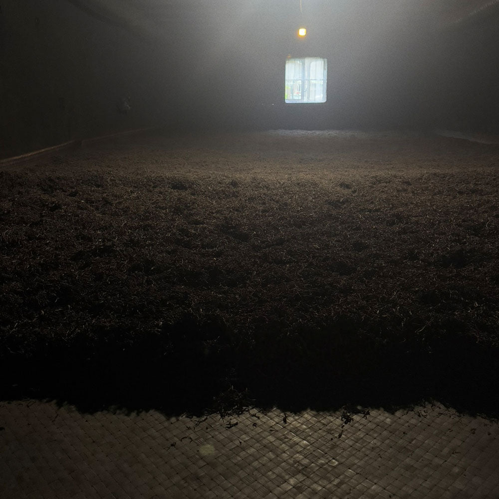 Tarry Lapsang Souchong