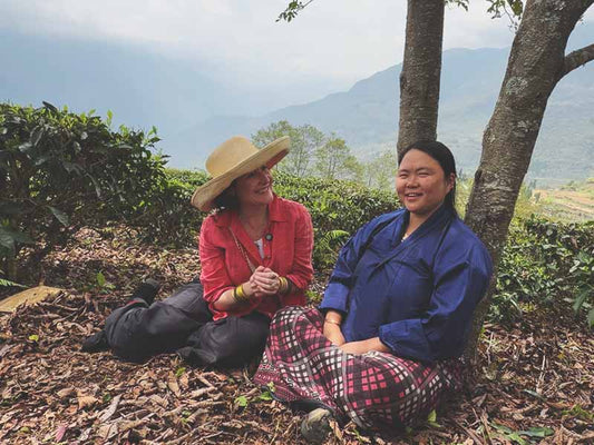 How is black tea different from green, white, or oolong tea?