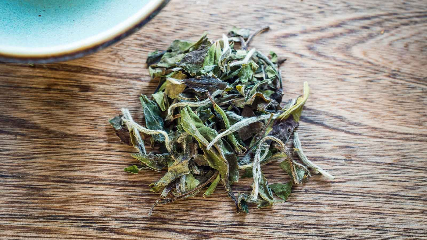 Loose Leaf White Tea