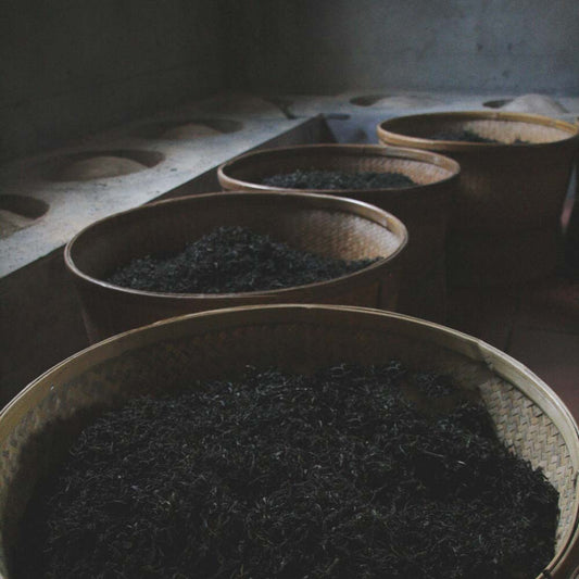 Da Hong Pao Oolong