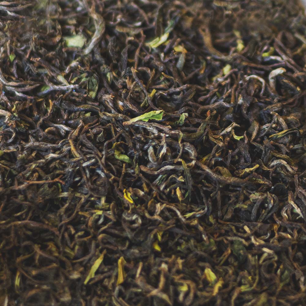 Indian Himalayan First Flush