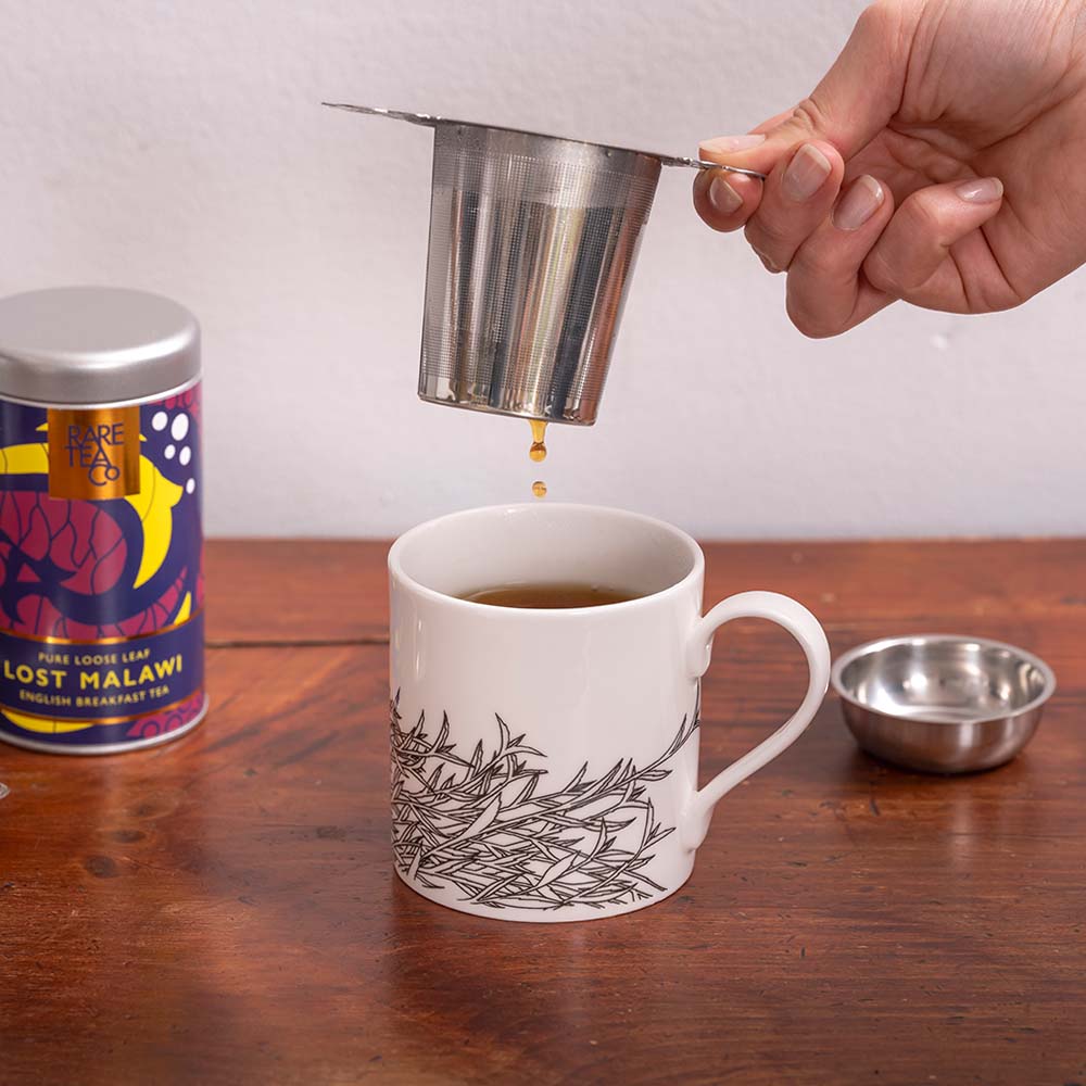 Mug Infuser