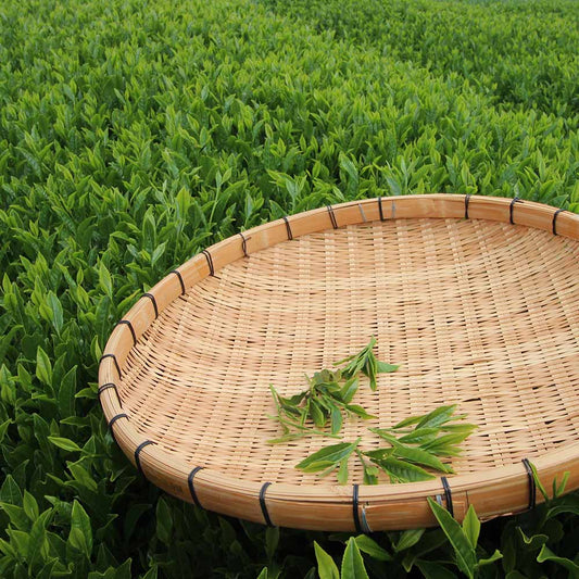 Japanese Yuzu Genmaicha