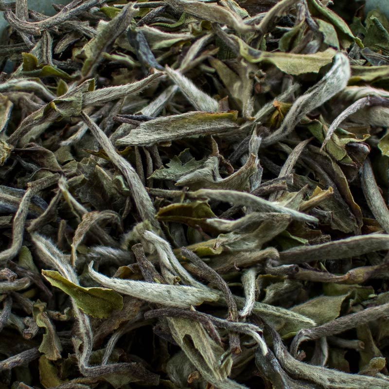 NEPAL ORGANIC TEA (FRESH FIRST FLUSH 2025) ANTU VALLEY UNCUT SFTGFOP I 500 gms NEPAL ORGANIC TEA (FRESH FIRST FLUSH 2025) ANTU VALLEY UNCUT SFTGFOP I 500 gms