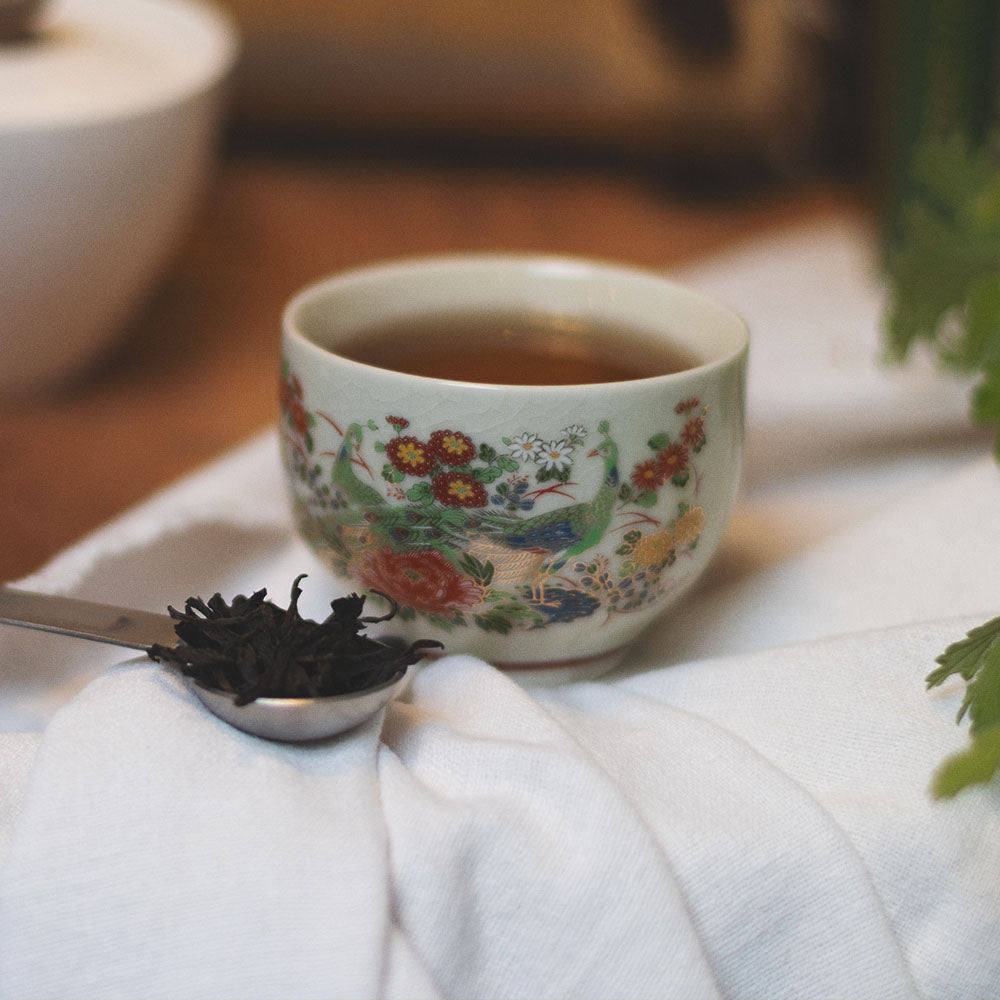 New Zealand Waikato Black