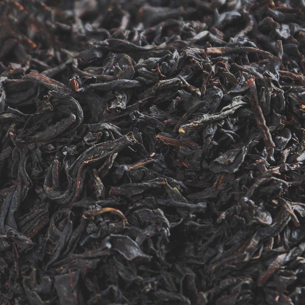 New Zealand Waikato Black