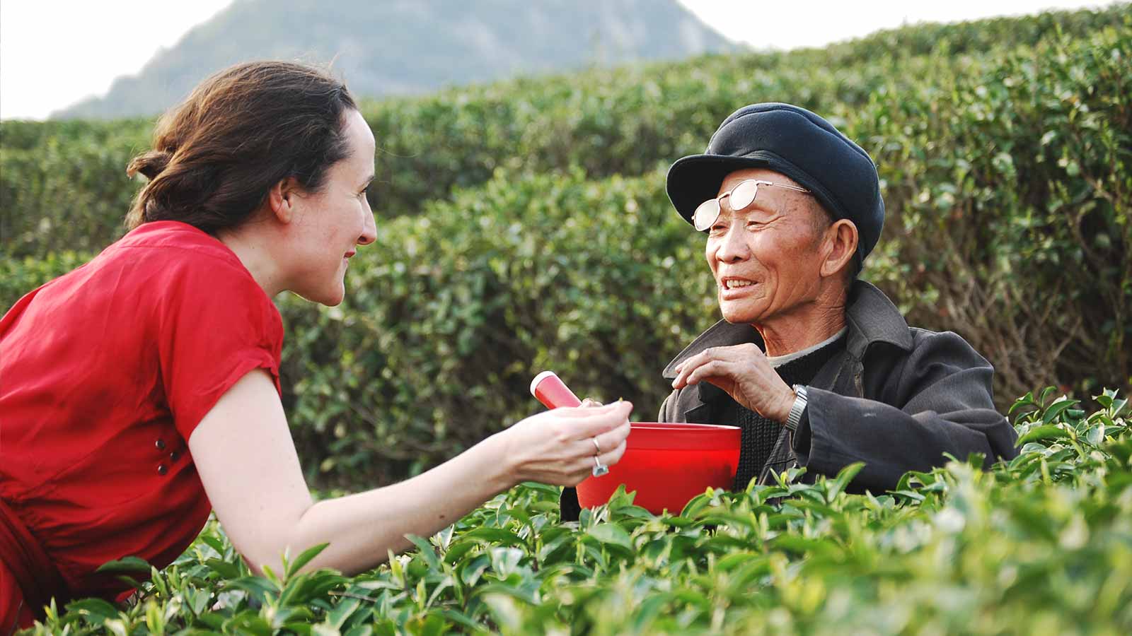 Henrietta in speaking to a tea picker in a scenic tea plantation with a mountain in the background.