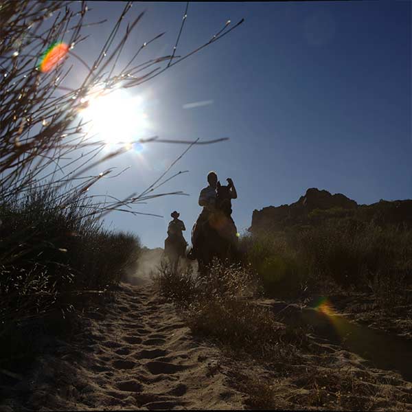 Two people riding horses on a dirt path past wild rooibos in the Cederberg mountains with the sun shining brightly in the background.