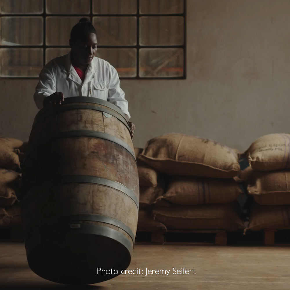 Satemwa Whisky Barrel Tea