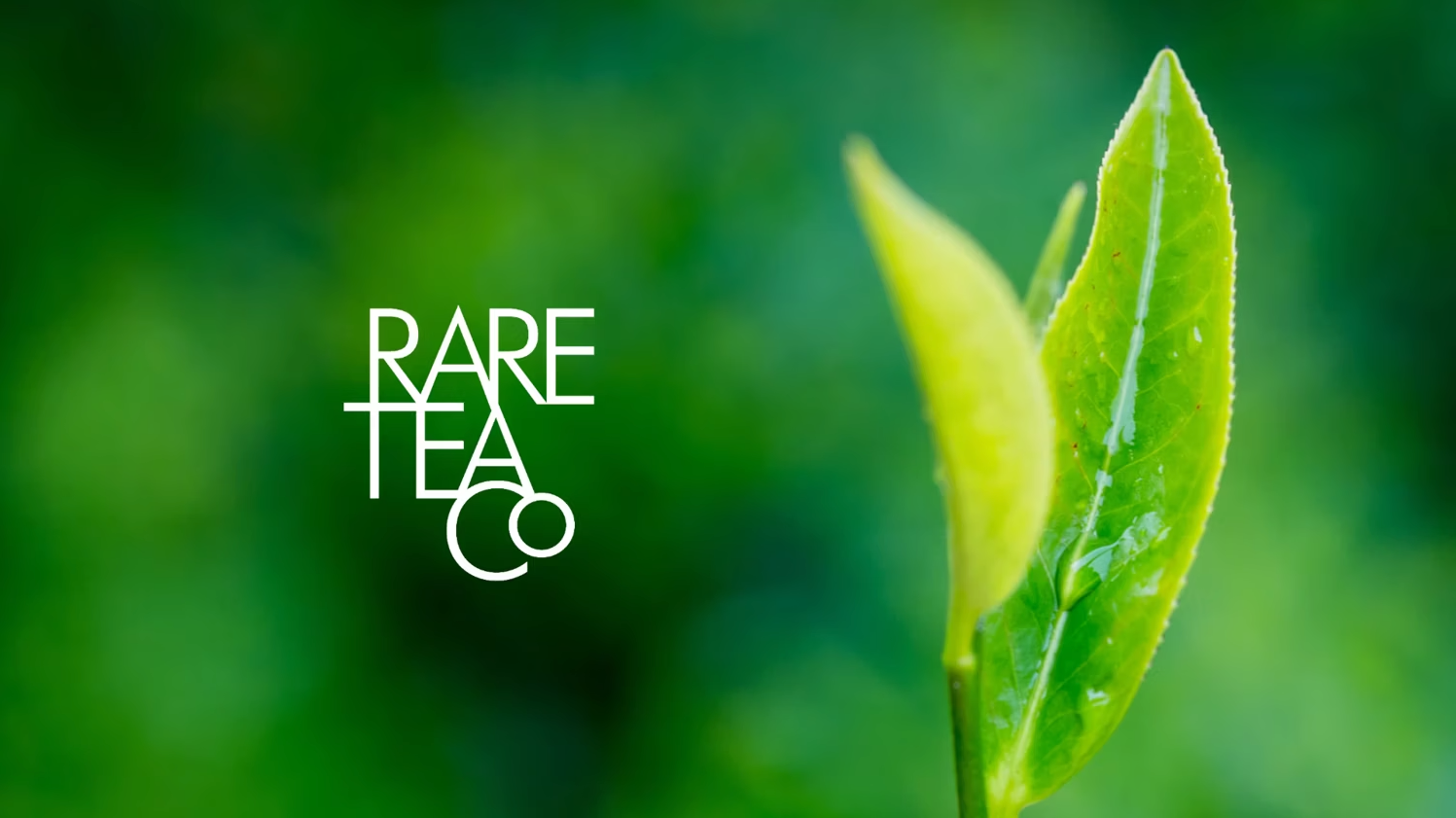 Load video: Rare Tea Company - A bit about us…