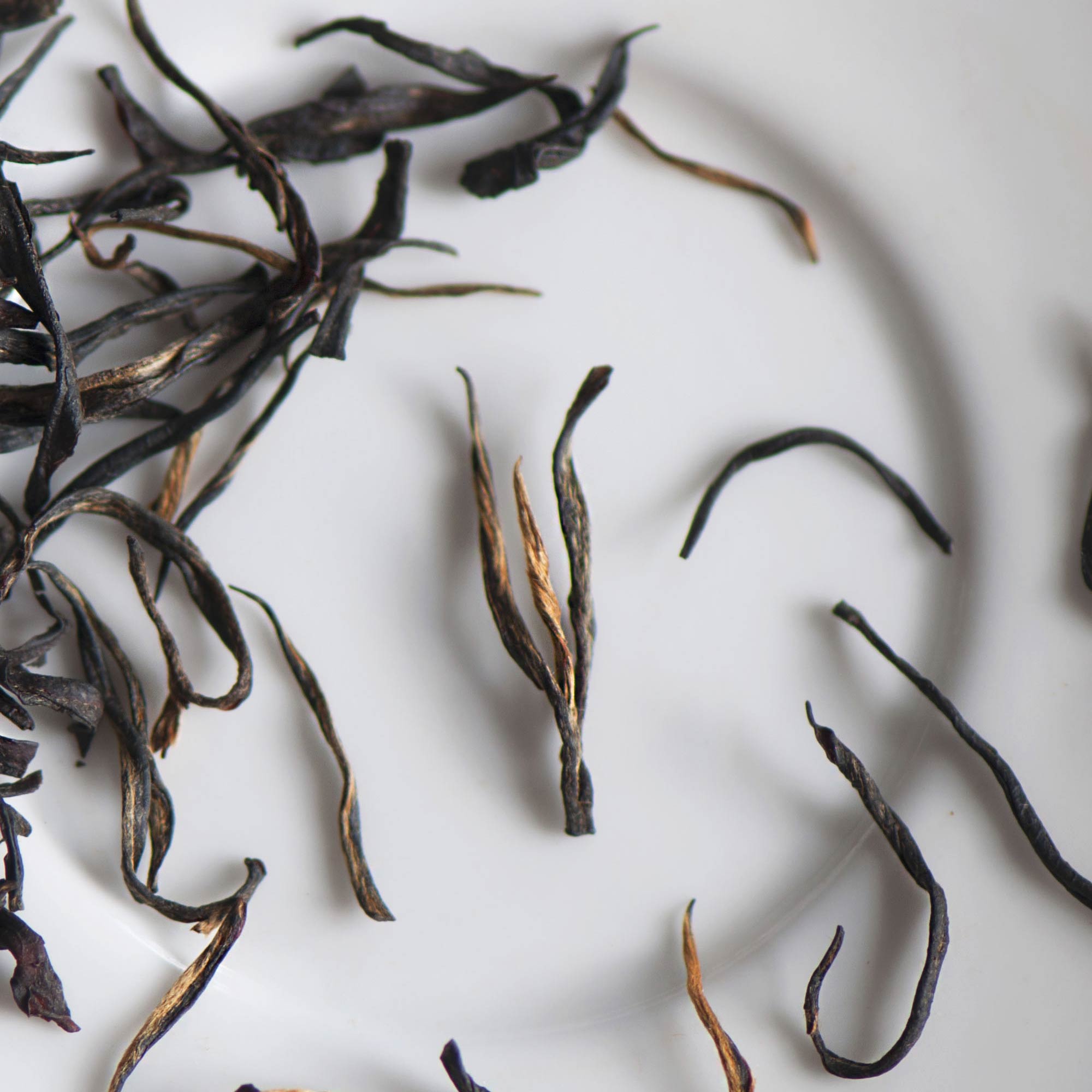 Sri Lankan Hand Rolled Loose Black Tea | Rare Tea Company